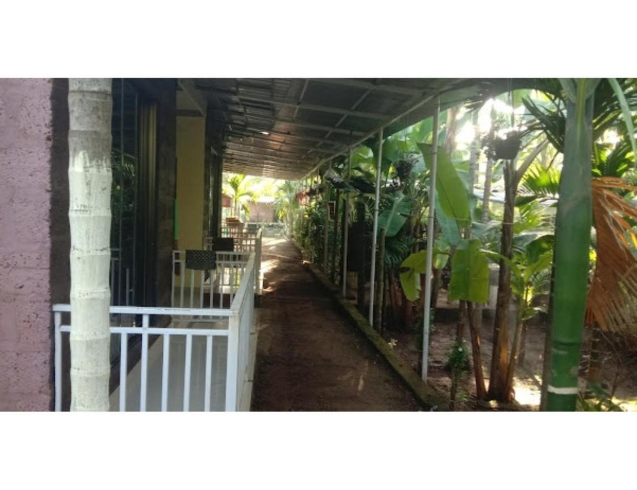 Nature View Cottage, Diveagar, Maharashtra Homestay *